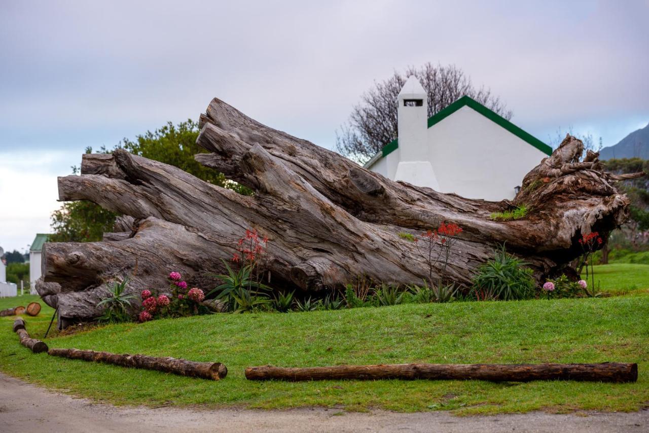 Honeyrock Cottages Kleinmond Extérieur photo